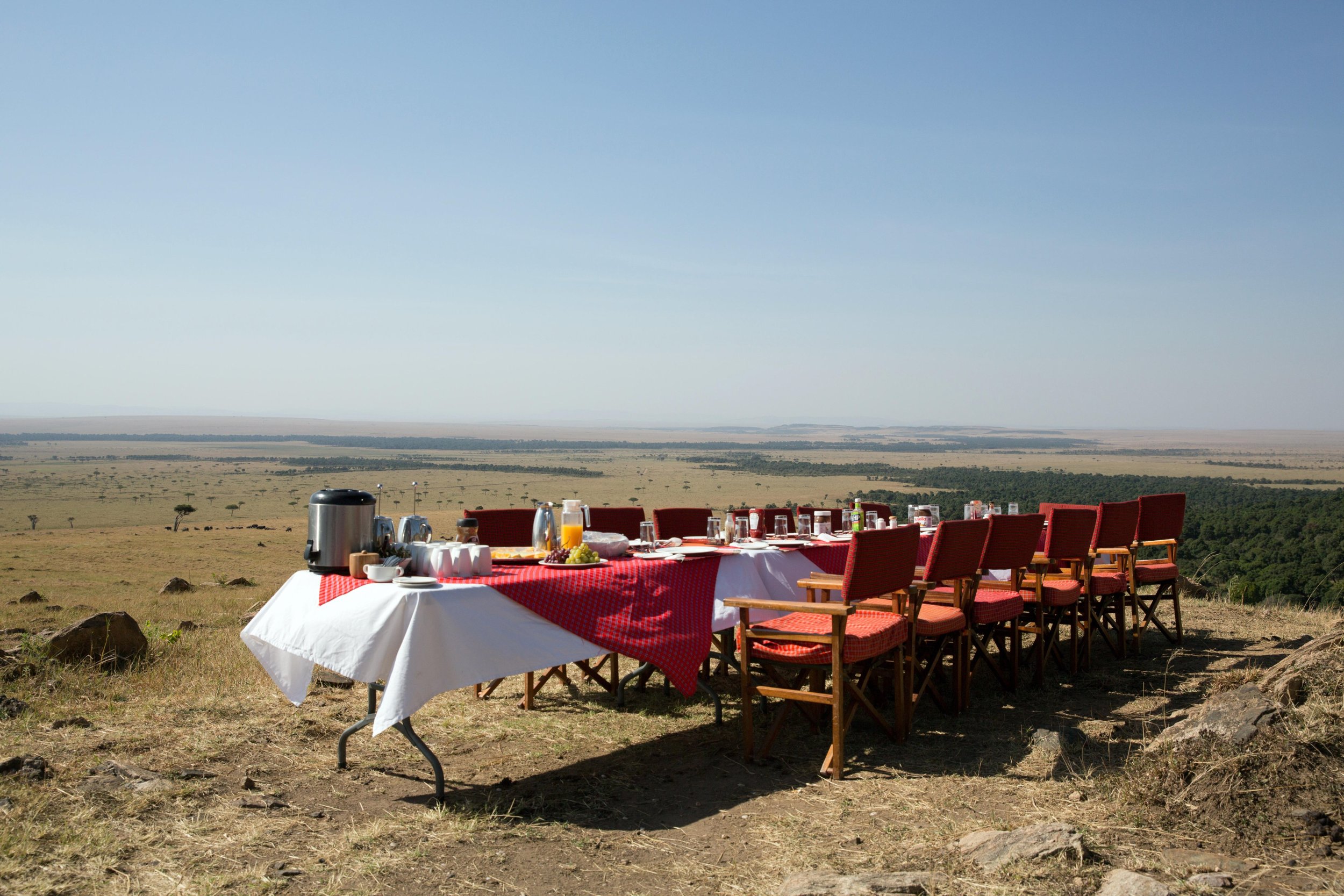 Bush breakfast in the Maasai Mara